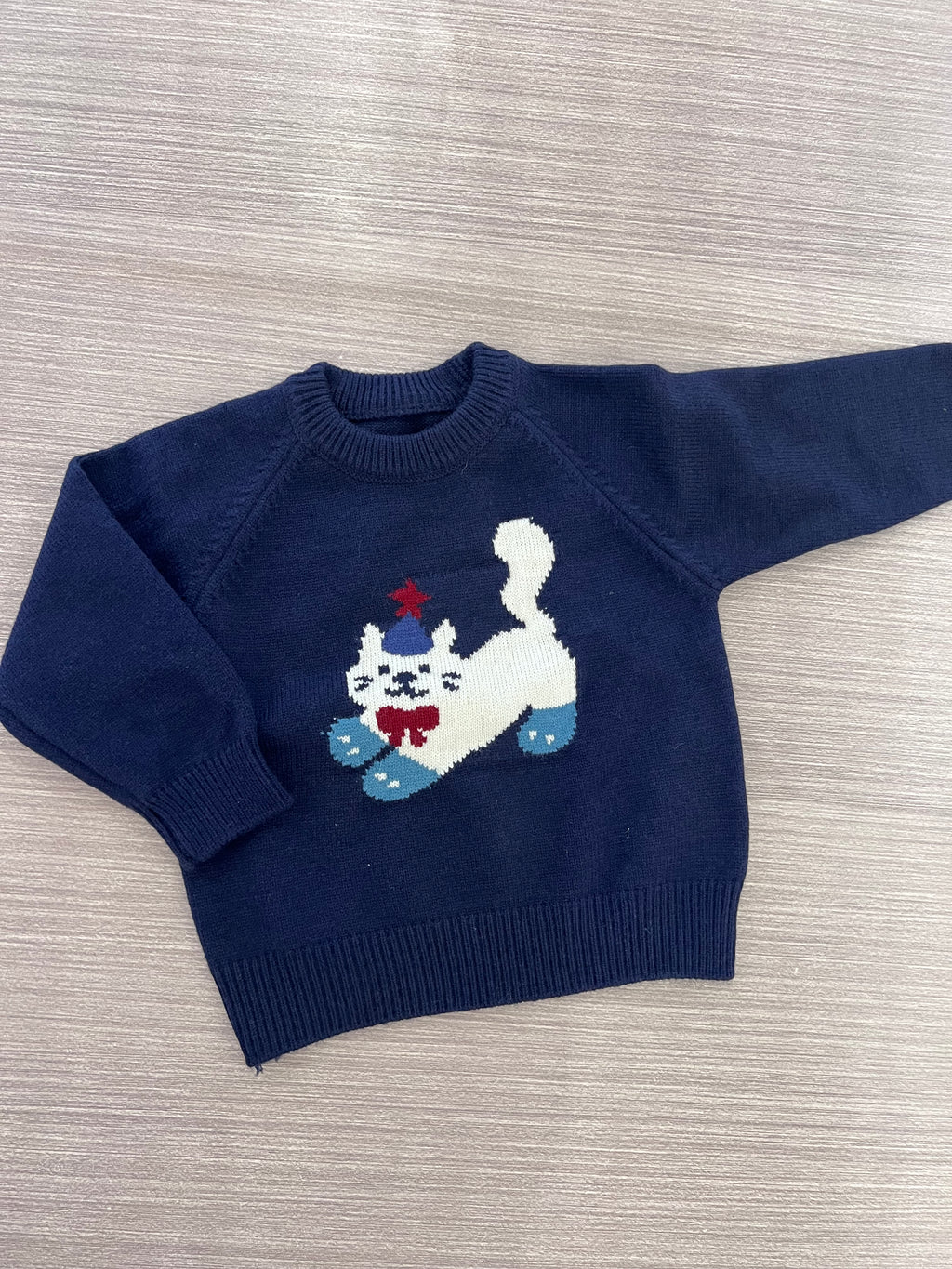 PUPPY KNIT JUMPER